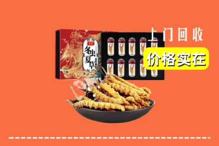 盐城市滨海回收冬虫夏草